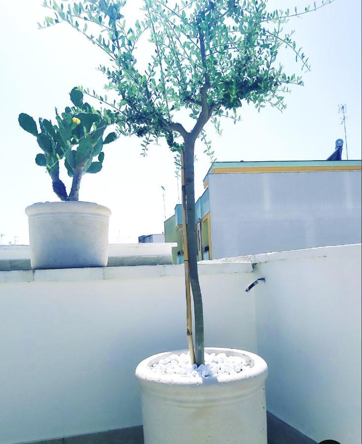 Dimora Asmara 11 15 Apartment Brindisi Luaran gambar